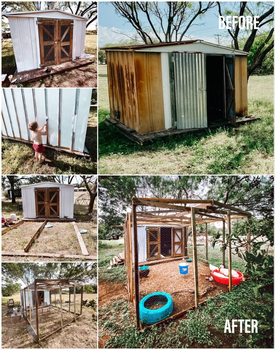 Abandoned Shed That Became a Dream Coop