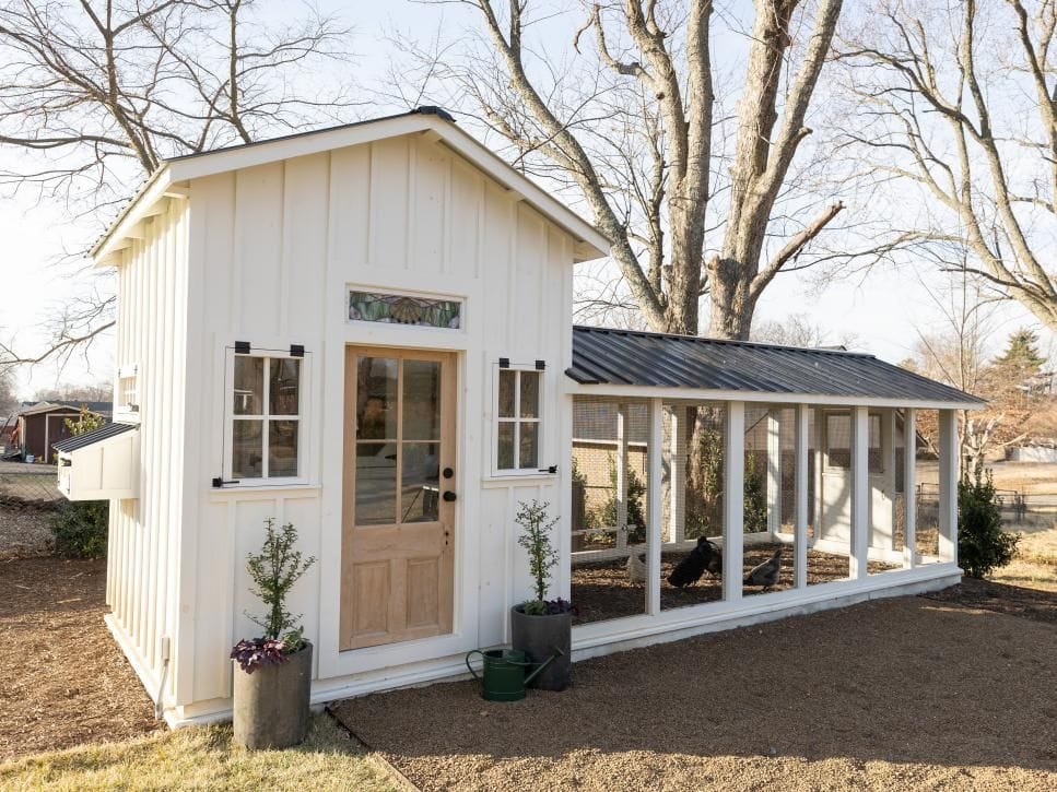 Abandoned Shed That Became a Dream Coop