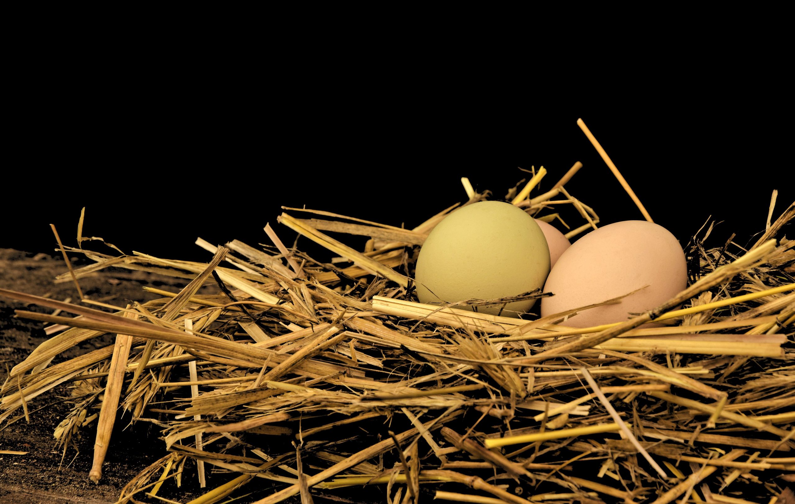 9 Practical Nesting Box Ideas for a Beautiful, Easy-to-Clean Coop