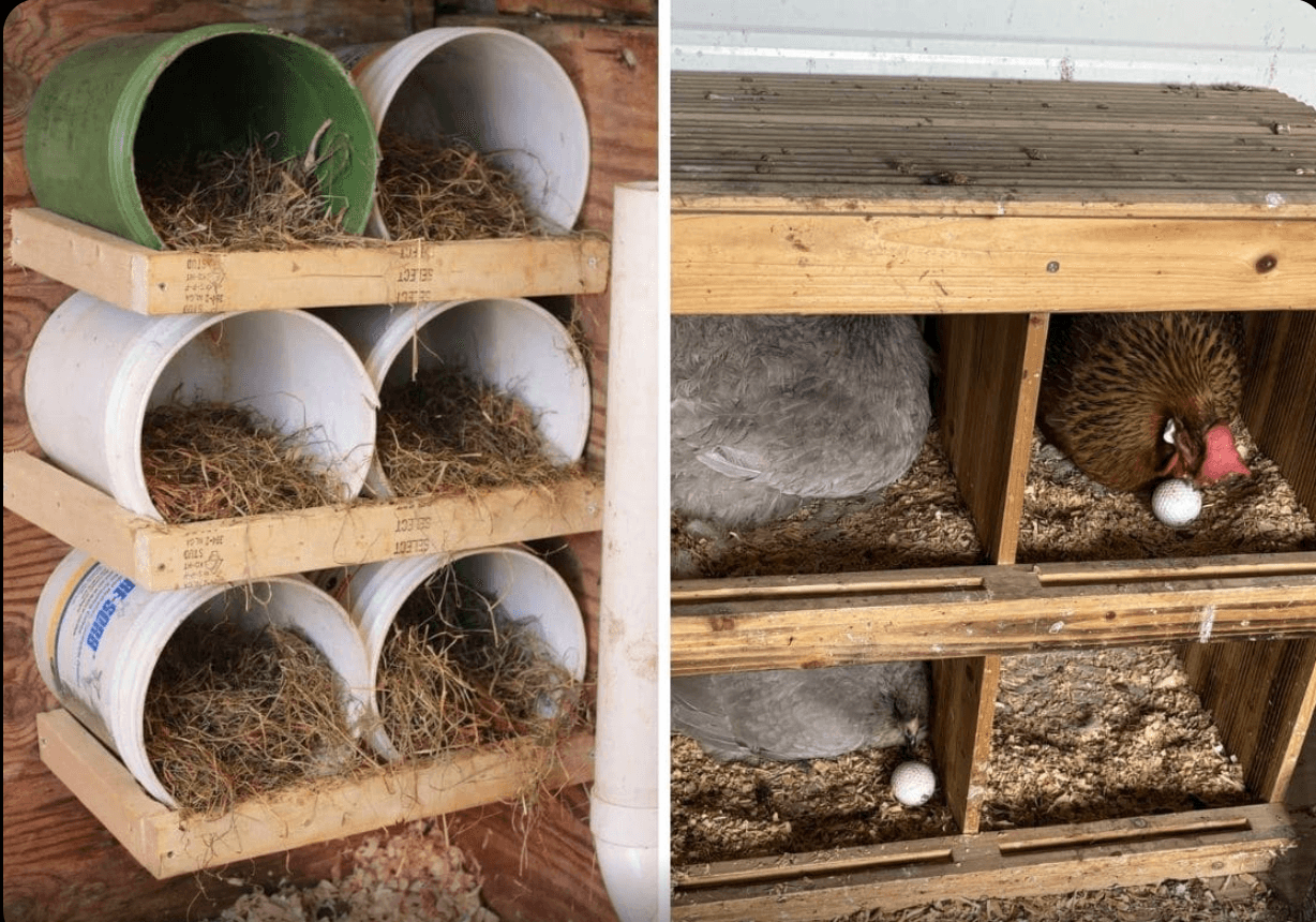 Nesting Box Wall Transformation