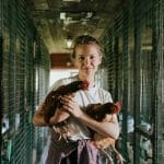 The Honest Reality of Backyard Life With Chickens