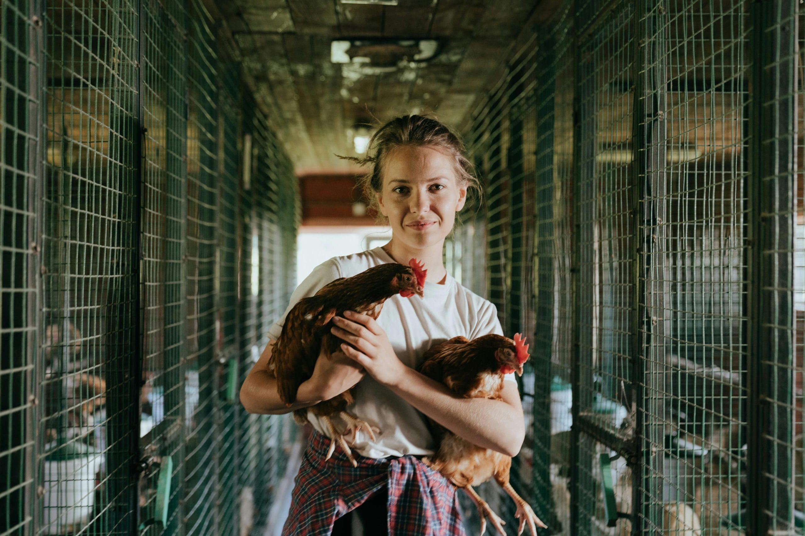 The Honest Reality of Backyard Life With Chickens