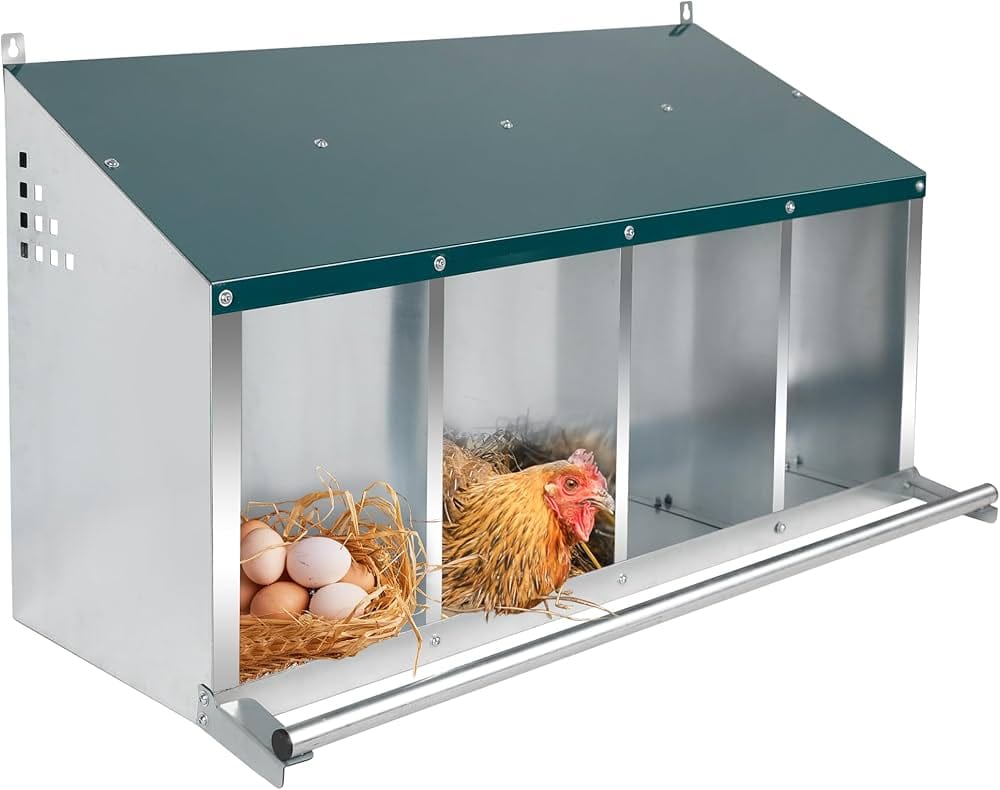 Luxury Lined Box for backyard chickens