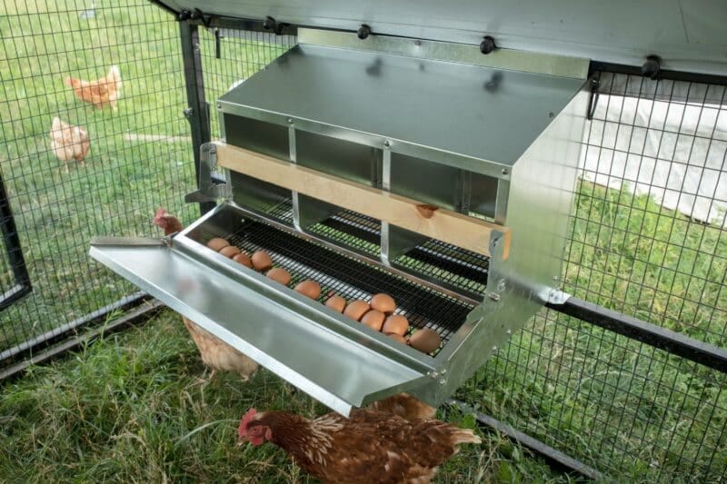 Roll-Away Box for backyard chickens