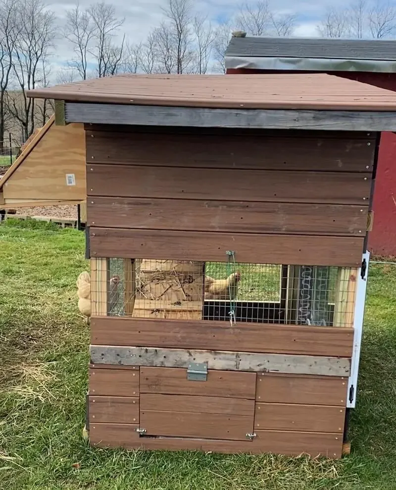 Dark, Damp Coop That Got a Full Interior Rebuild