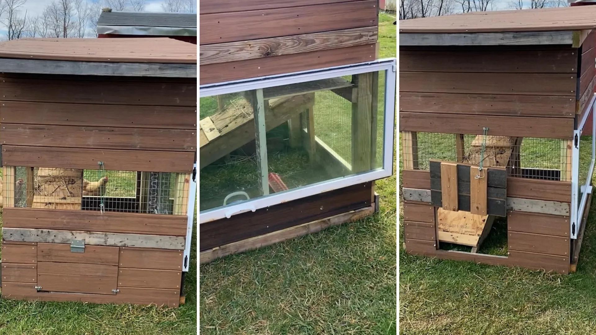 Dark, Damp Coop That Got a Full Interior Rebuild