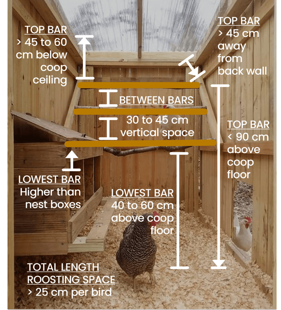 Non-Negotiables Inside Every Chicken House