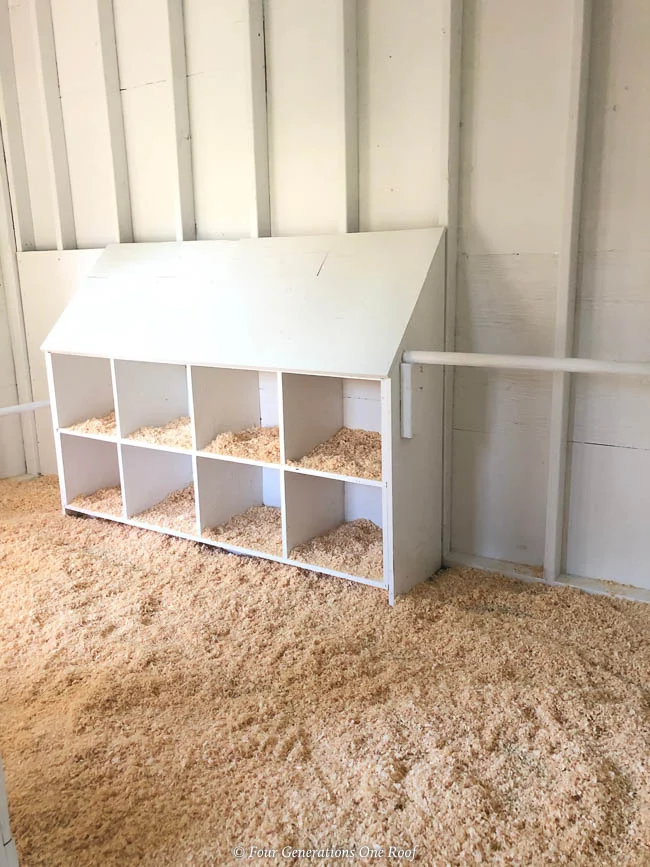 Safe and practical backyard chicken coop design