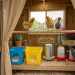 15 Inside Chicken Coop Designs That Solve Real Problems