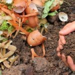 4 Easy Steps to Compost Chicken Manure (Complete Beginner’s Guide)