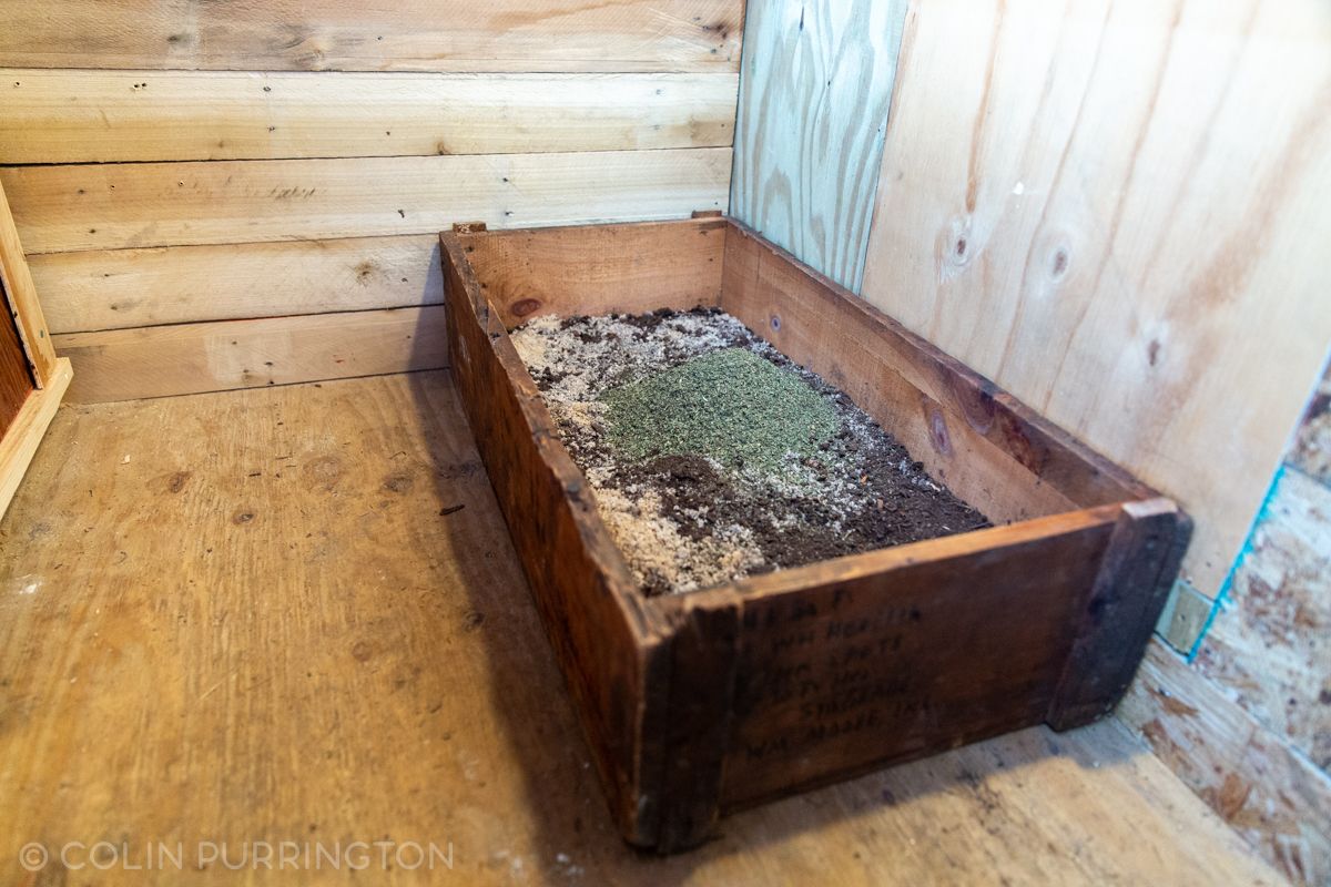 Coarse sand flooring inside a clean backyard chicken coop