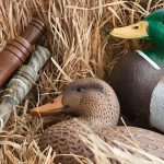 12 DIY Duck Coop Ideas: Drainage, Ventilation, and Predator Safety