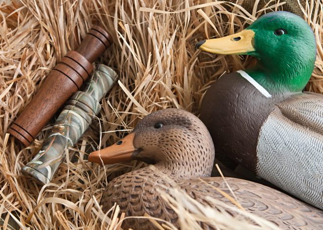 12 DIY Duck Coop Ideas: Drainage, Ventilation, and Predator Safety