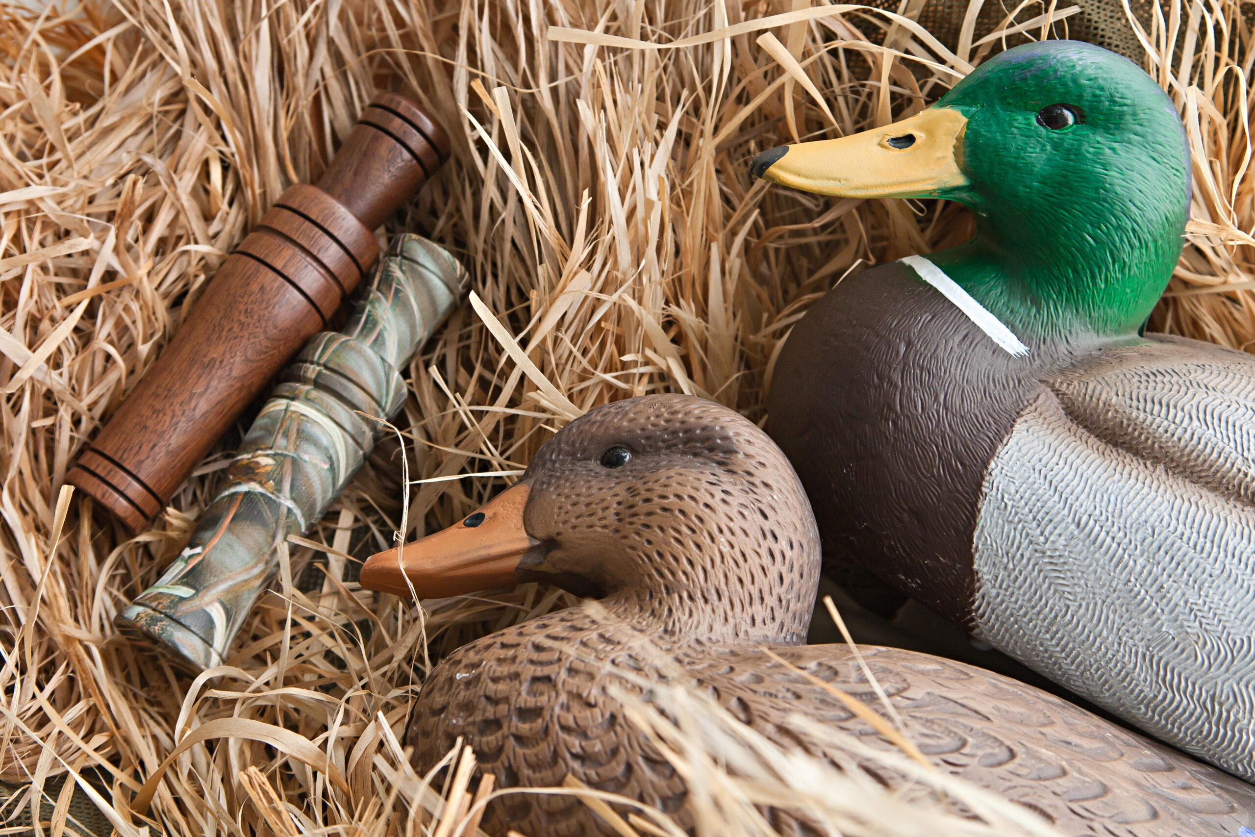 12 DIY Duck Coop Ideas: Drainage, Ventilation, and Predator Safety