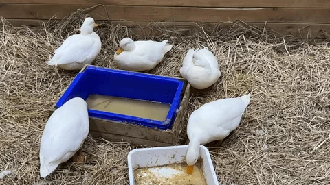 Task 3: Feed — Measured, Not Scattered (3 minutes)