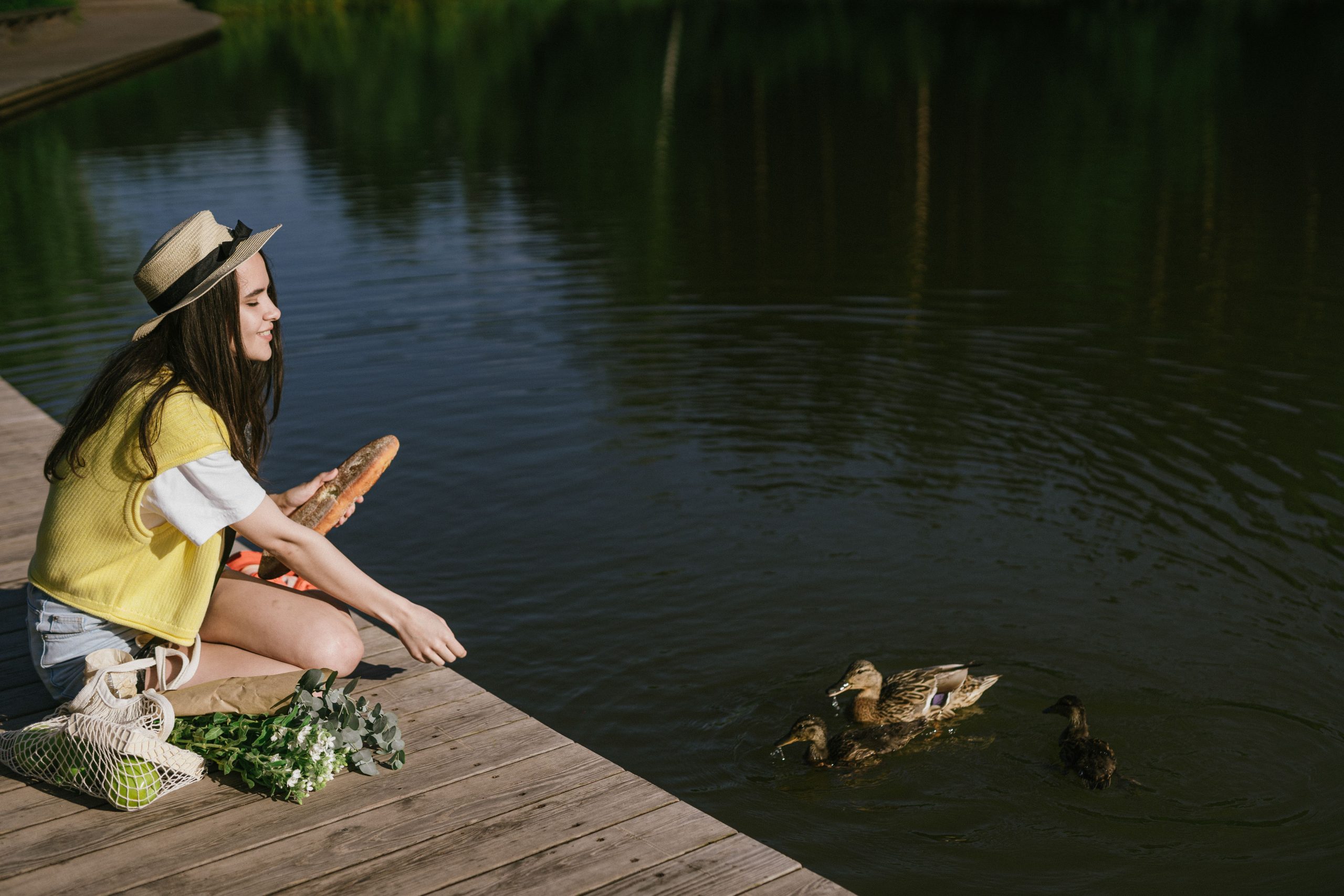 Signs of increasing comfort in backyard ducks