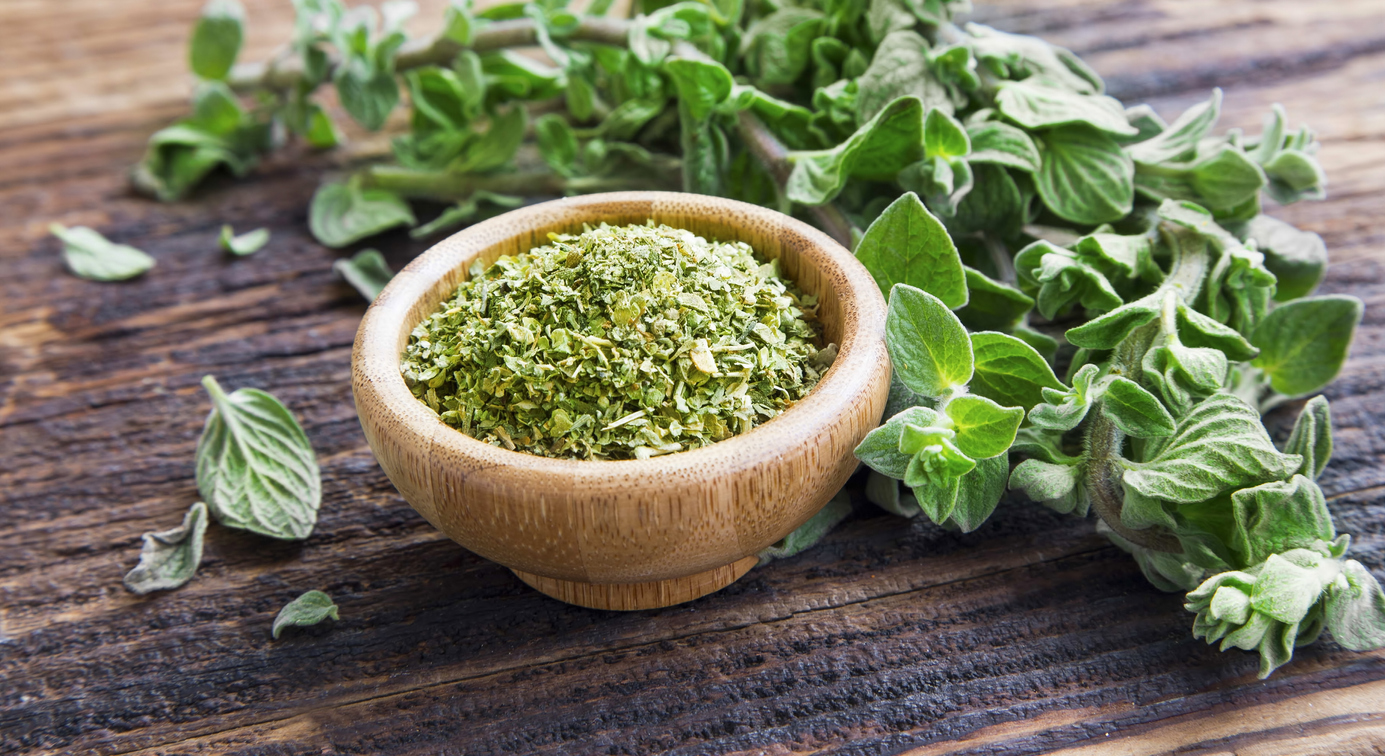 Oregano for backyard chickens
